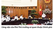 Phó Thủ trưởng cơ quan thuộc Chính phủ phải thực hiện những công việc gì?