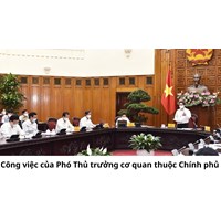 Phó Thủ trưởng cơ quan thuộc Chính phủ phải thực hiện những công việc gì?