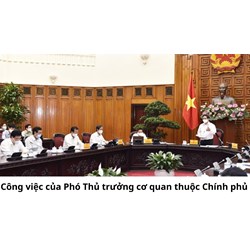 Phó Thủ trưởng cơ quan thuộc Chính phủ phải thực hiện những công việc gì?