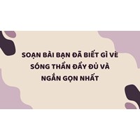 Soạn bài Bạn đã biết gì về sóng thần đầy đủ và ngắn gọn nhất