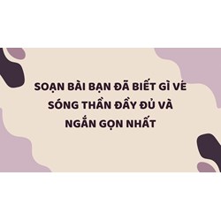 Soạn bài Bạn đã biết gì về sóng thần đầy đủ và ngắn gọn nhất