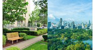 Tiêu chuẩn đất trồng cây xanh chuyên dụng trong các đô thị