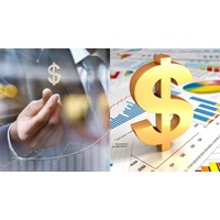 Doanh nghiệp FDI có được mở tài khoản vốn đầu tư trực tiếp ở Việt Nam?