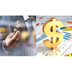 Doanh nghiệp FDI có được mở tài khoản vốn đầu tư trực tiếp ở Việt Nam?