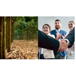 Người nước ngoài có thể trở thành hội viên của Hiệp hội Cao su Việt Nam không theo quy định?