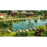 Quy định thực hiện đề án du lịch sinh thái trong rừng đặc dụng hiện nay?