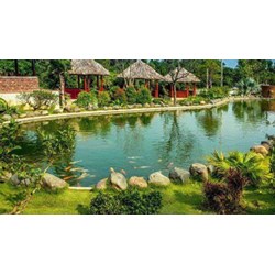 Quy định thực hiện đề án du lịch sinh thái trong rừng đặc dụng hiện nay?