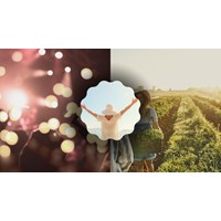 Đoạn văn suy nghĩ về ý nghĩa của lối sống ngay thẳng siêu hay