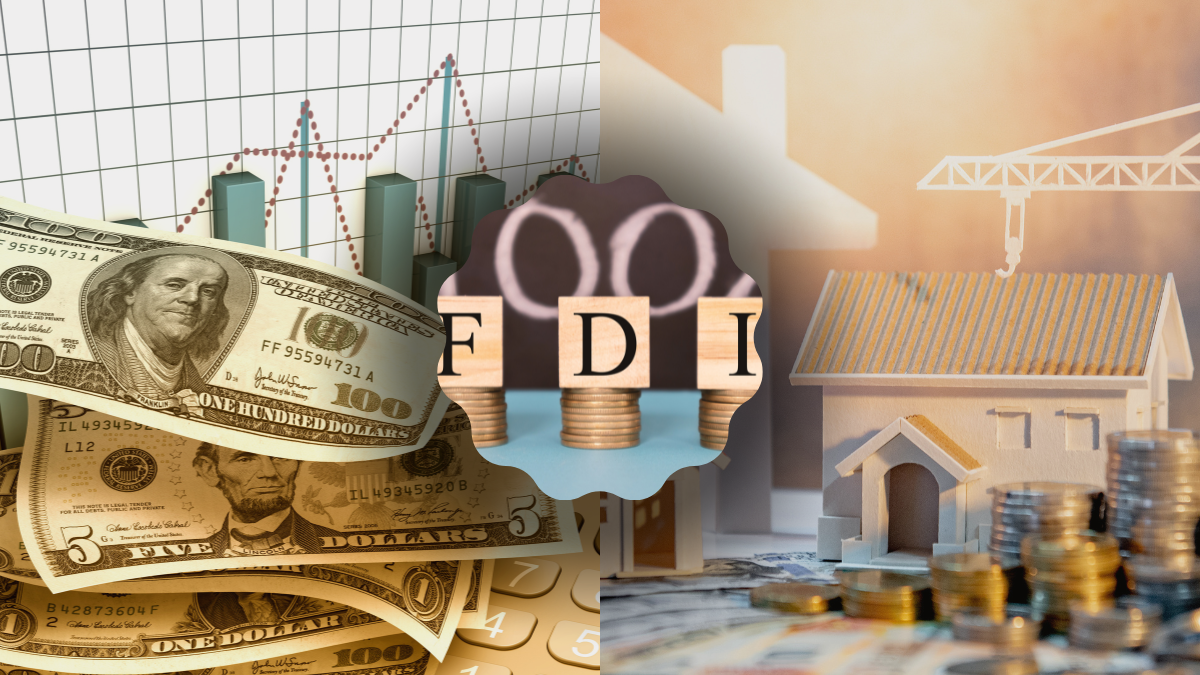 What Are The Advantages And Disadvantages Of FDI?