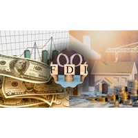 What are the advantages and disadvantages of FDI?