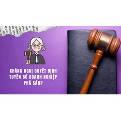 Có thể kháng nghị quyết định tuyên bố doanh nghiệp phá sản hay không?