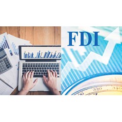 Thành lập công ty FDI kinh doanh dịch vụ kế toán như thế nào?
