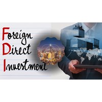 Doanh nghiệp FDI có được phép kinh doanh chuyển khẩu hay không?