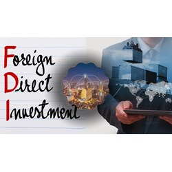 Doanh nghiệp FDI có được phép kinh doanh chuyển khẩu hay không?