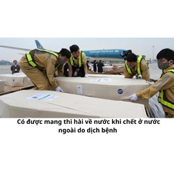 Có được mang thi hài về nước khi chết ở nước ngoài do dịch bệnh hay không?