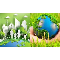 Chủ dự án đầu tư có bắt buộc phải công khai giấy phép môi trường sau khi được cấp giấy phép hay không?