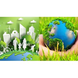 Chủ dự án đầu tư có bắt buộc phải công khai giấy phép môi trường sau khi được cấp giấy phép hay không?