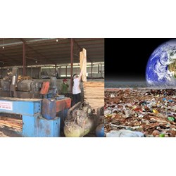 Quy tắc ứng xử bảo vệ môi trường của tổ chức kinh doanh dịch vụ tại địa điểm