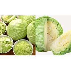 Quy định về nhiệt độ bảo quản tối ưu cải bắp