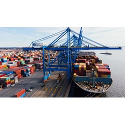 Cục Hàng hải Việt Nam có nhiệm vụ và quyền hạn gì trong công tác bảo vệ môi trường trong hoạt động hàng hải