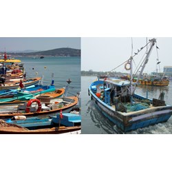 Quy định về cấp của tàu cá được phân biệt bởi các ký hiệu phân cấp?