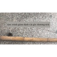 Quy trình giám định vật gây thương tích