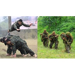 Có bao nhiêu loại binh chủng đặc công trong quân đội nhân dân?