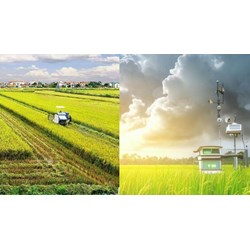 Nhiệm vụ và quyền hạn của Trường Cán bộ quản lý Nông nghiệp và Phát triển nông thôn mới?