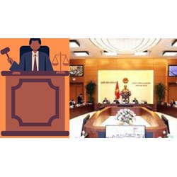 Cơ quan nào có trách nhiệm theo dõi tình hình thi hành pháp luật trong phạm vi quản lý ở địa phương?