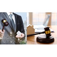 Đơn vị tổ chức thực hiện việc đấu giá quyền sử dụng đất theo quy định?