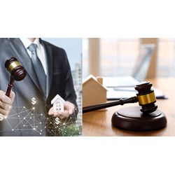 Đơn vị tổ chức thực hiện việc đấu giá quyền sử dụng đất theo quy định?