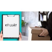 Xác định mức độ vi phạm của viên chức như thế nào?