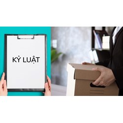 Xác định mức độ vi phạm của viên chức như thế nào?