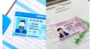 Thời hạn nộp giấy phép khi bị thu hồi Giấy phép kinh doanh vận tải