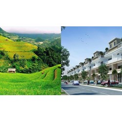 Địa điểm nộp hồ sơ khai thuế sử dụng đất phi nông nghiệp