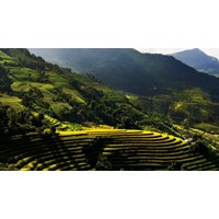 Trường hợp giao dịch về đất được miễn lệ phí trước bạ mới nhất?