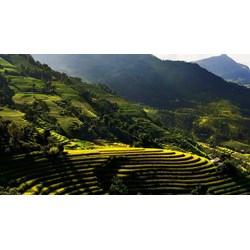 Trường hợp giao dịch về đất được miễn lệ phí trước bạ mới nhất?