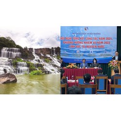 Cơ cấu Phòng Kế hoạch Tổng hợp Cục quản lý tài nguyên nước?