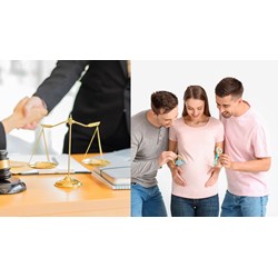 Xử phạt người không phải cử nhân luật thực hiện tư vấn pháp lý cho người mang thai hộ?