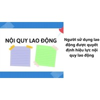 Người sử dụng lao động được quyết định hiệu lực nội quy lao động hay không?