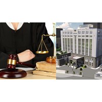 Cục Trợ giúp pháp lý có trách nhiệm gì trong việc bảo đảm bình đẳng giới trong trợ giúp pháp lý?