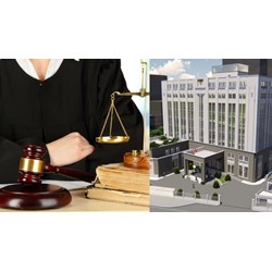Cục Trợ giúp pháp lý có trách nhiệm gì trong việc bảo đảm bình đẳng <strong>giới</strong> trong trợ giúp pháp lý?