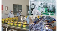 Cấp Giấy chứng nhận an toàn thực phẩm đối với cơ sở đóng gói thực phẩm