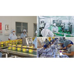 Cấp Giấy chứng nhận an toàn thực phẩm đối với cơ sở đóng gói thực phẩm