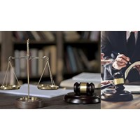 Người thực hiện trợ giúp pháp lý ứng xử với đồng nghiệp như thế nào?