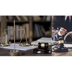 Người thực hiện trợ giúp pháp lý ứng xử với đồng nghiệp như thế nào?
