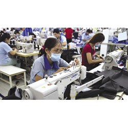 Có được sử dụng lao động lớn tuổi làm công việc nặng nhọc không?