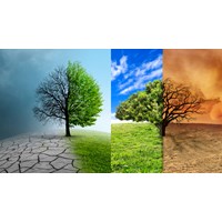 Trách nhiệm của cơ quan nhà nước thích ứng với biến đổi khí hậu?