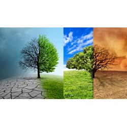 Trách nhiệm của cơ quan nhà nước thích ứng với biến đổi khí hậu?