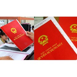 Làm gì để rút tên, loại tên một người ra khỏi sổ đỏ chung gia đình?